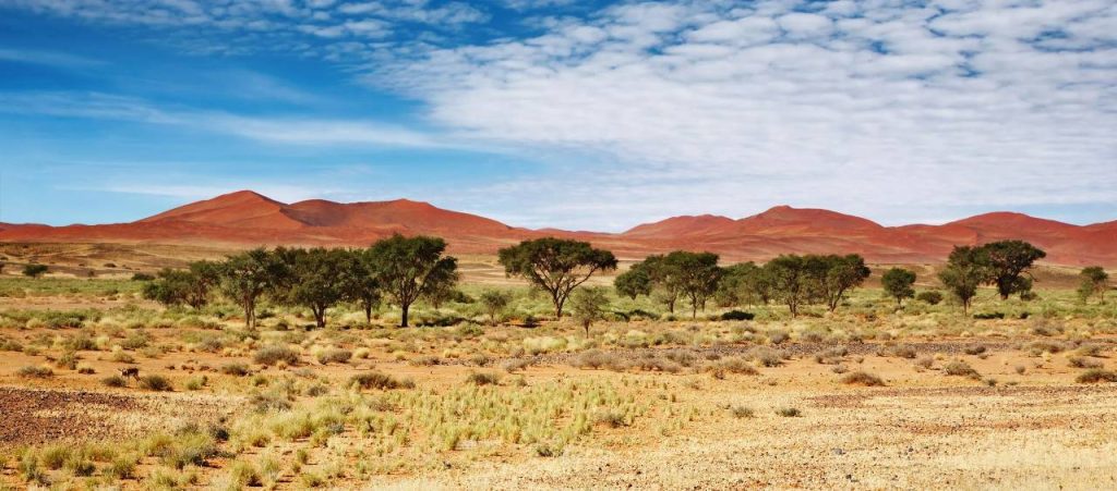 Desierto de namibia